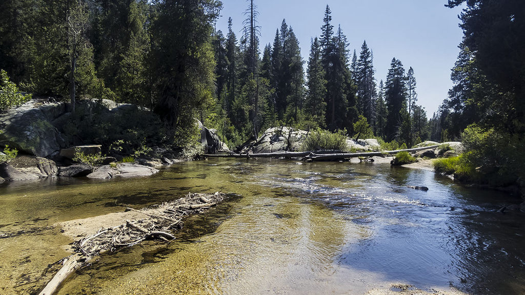 Ultralight Fly Fishing • Bear Creek 2015 (photo heavy)